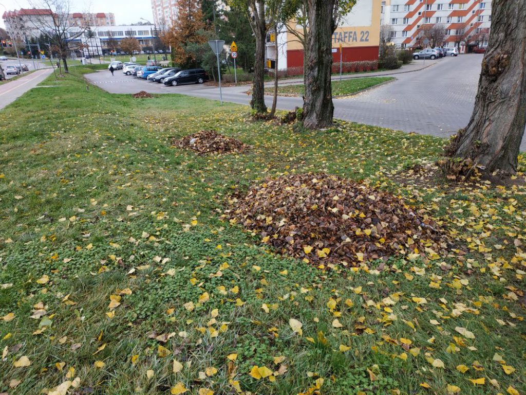 gromadki zgrabionych liści przy ulicy